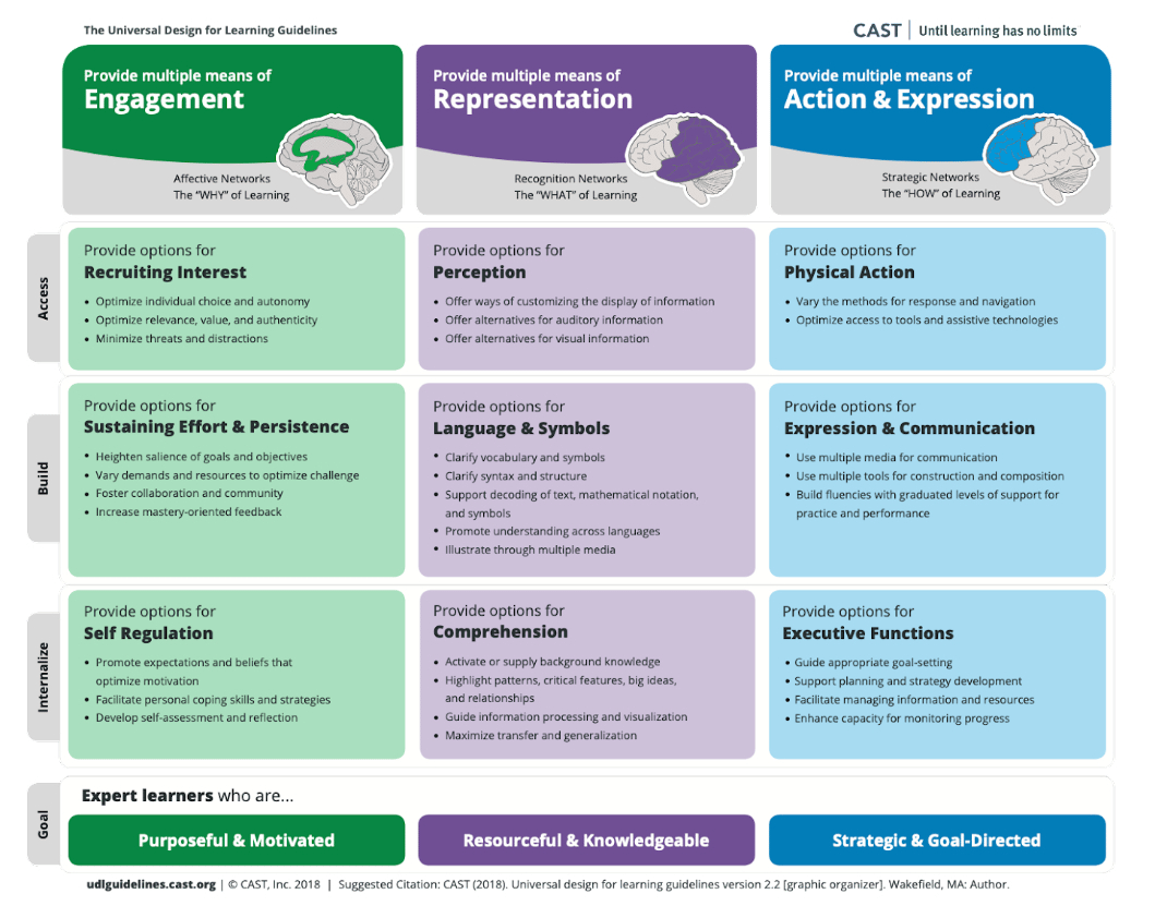 Graphic showing the Universal Design for Learning Guidelines.